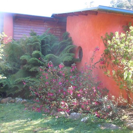 Whispering Spirit Holiday Cottages&Mini Ponies Franklin Esterno foto