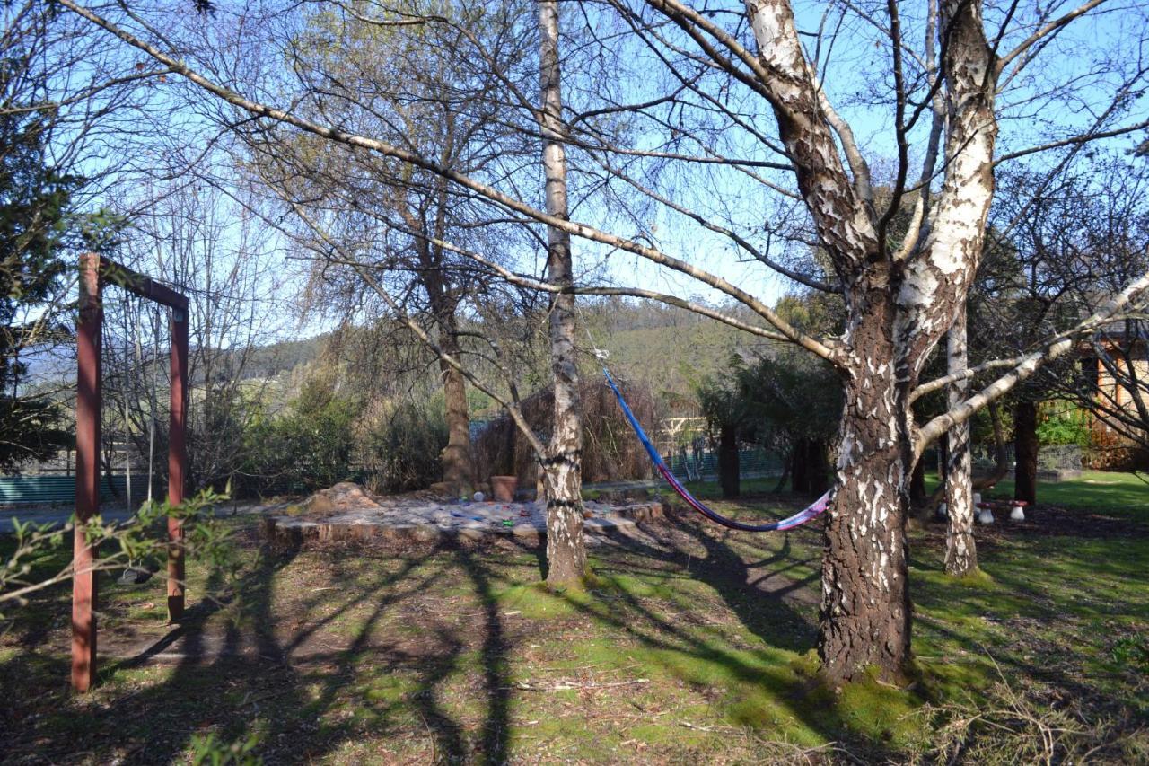Whispering Spirit Holiday Cottages&Mini Ponies Franklin Esterno foto
